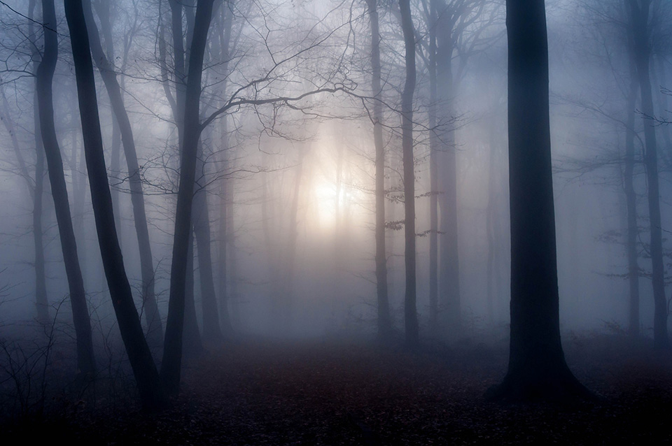 风光摄影：迷雾般的幻境
