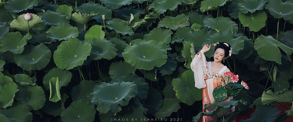 中国风《荷娘》古装少女写真欣赏