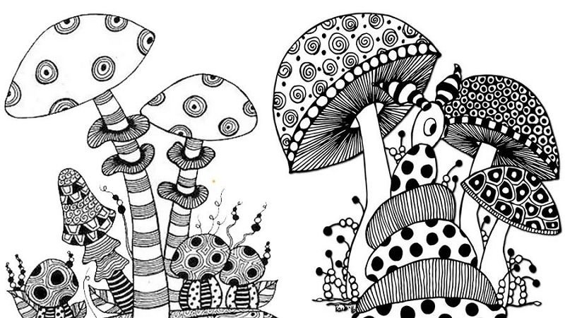 草丛里的蘑菇少儿绘画教程