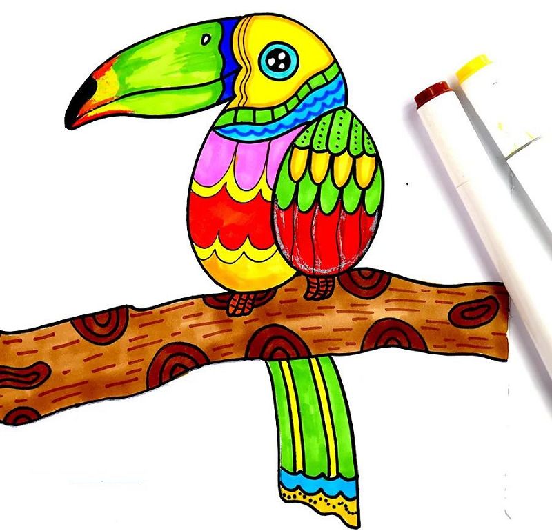 树上的大嘴鸟儿童画