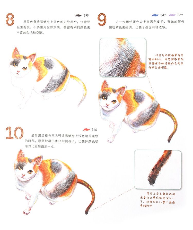 手绘彩色铅笔猫