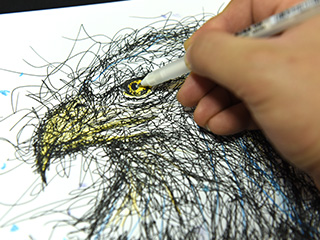 飞线钢笔画《老鹰》手绘教程