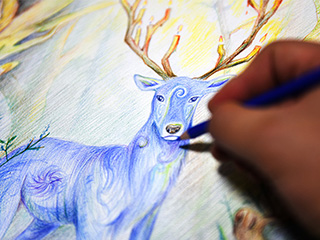 彩色铅笔水彩画《森之鹿》手绘教程